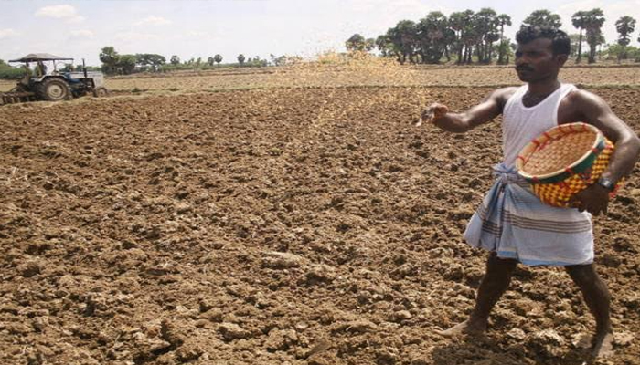 बुन्देलखण्ड में हाहाकार: किसानों पर मंडराया बीज का संकट, पढ़ें पूरी खबर