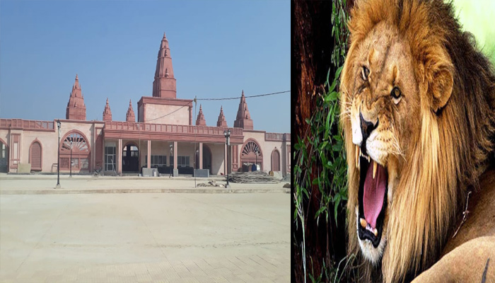 गोरखपुर में दहाड़ेंगे गुजरात के शेर, 12 से सभी कर सकेंगे दीदार