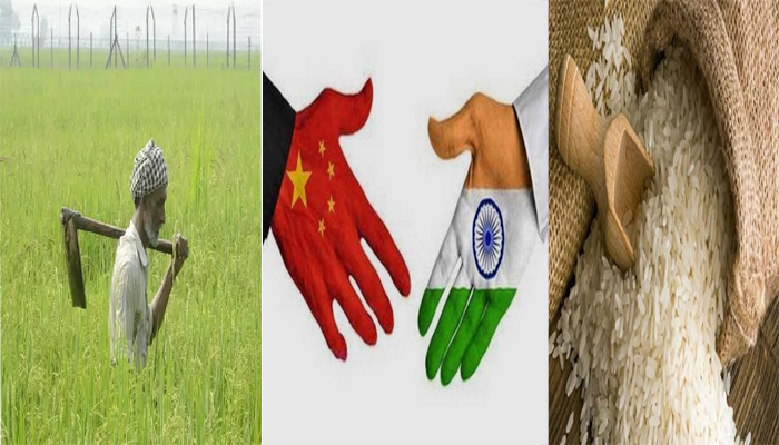 किसानों की बड़ी जीत: 30 साल बाद बिका चावल, भारत चीन पर भारी