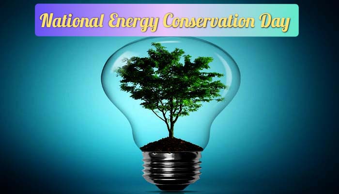 राष्ट्रीय ऊर्जा संरक्षण दिवस: एनर्जी बचाना आप की भी है जिम्मेदारी, जानिए उपाय