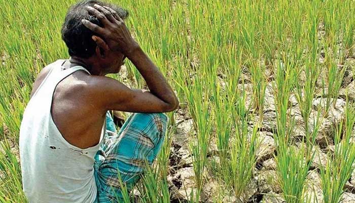 किसानों को ट्रेडर्स ने लगाया चूना: खरीदी दो करोड़ की फसल, बिना भुगतान किए फरार