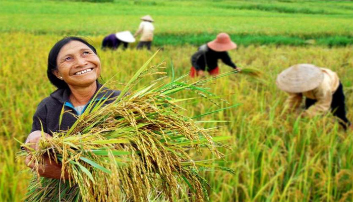 करोड़ों किसानों को राहत: खातों में इस दिन आएगी रकम, PM मोदी ने किया ऐलान