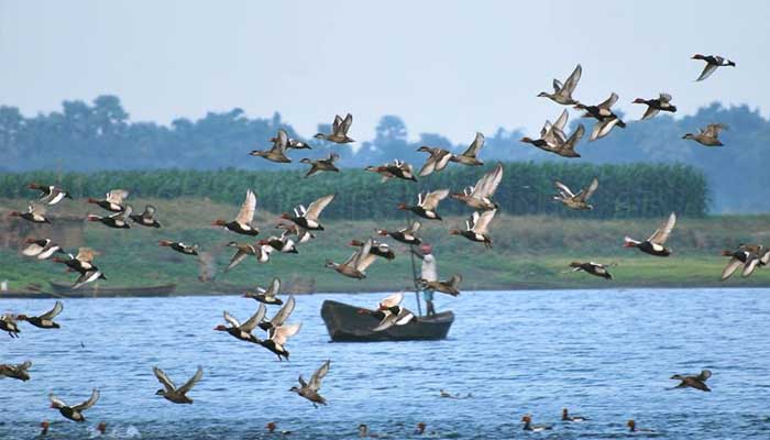 बिहार का ये टूरिस्ट प्लेस: जहां हैं 62 प्रजातियों के पक्षी, अब शुरू होगा पर्यटन