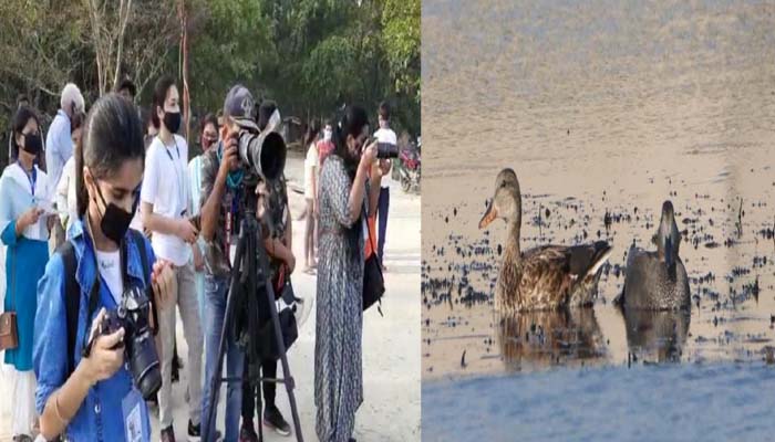गोरखपुर महोत्सव: इस बार शामिल हुआ बर्ड वॉच, पक्षियों से कर सकेंगे जान-पहचान