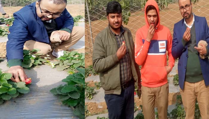 बिहार: स्ट्रॉबेरी की खेती देखने पहुंचे आरके श्रीवास्तव और उनके इंजीनियर स्टूडेंट्स