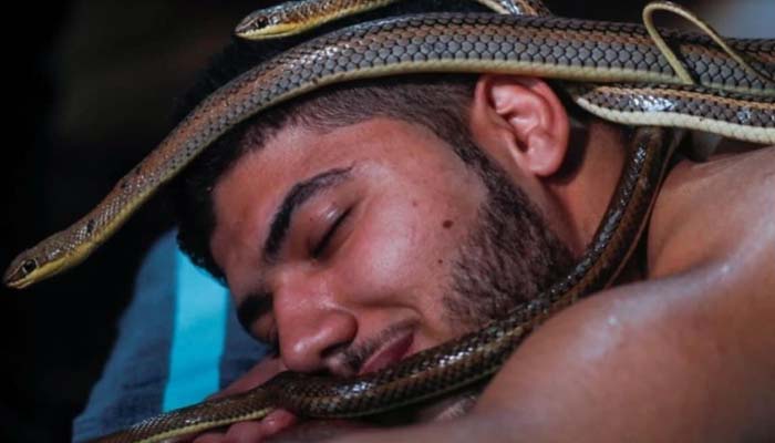 snake massage-3