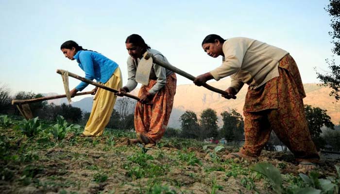 women farmers-4