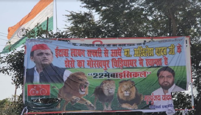 इटावा से शेरों के आने पर गोरखपुर में सियासत, सपाईयों ने ऐसे किया विरोध