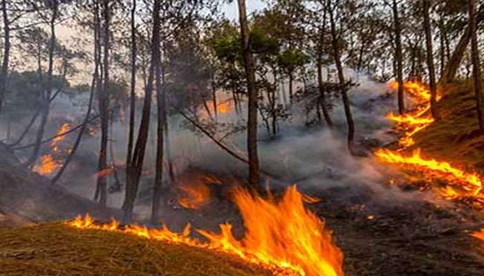 पाकिस्तान की बड़ी साजिश, घुसपैठ के लिए जंगलों में लगाई आग, जम्मू में हाई अलर्ट