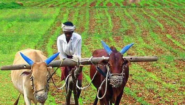 मोदी सरकार की ये योजना: किसानों को मिलेगी पेंशन, ऐसे कराएं रजिस्ट्रेशन