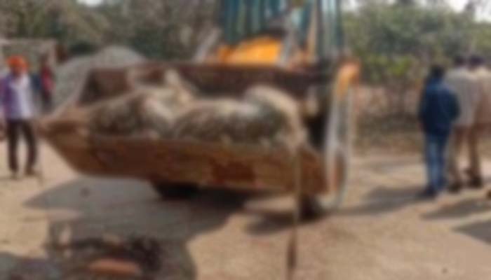 रायबरेली में पलटा गोवंश से भरा ट्रक, आधा दर्जन की मौत