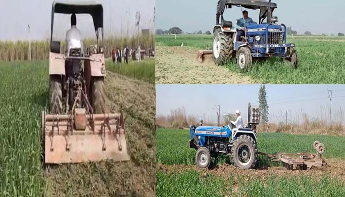 कृषि कानून: नाराज किसानों ने गेंहू की फसल कर दी नष्ट, टिकैत ने की थी अपील