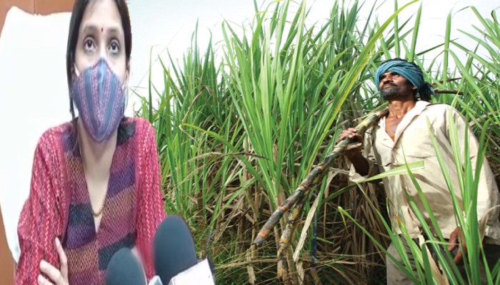 गन्ना किसान परेशान: नहीं हुआ अब तक भुगतान, डीएम बस्ती ने दिए ये आदेश