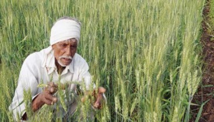 अलर्ट रहें किसान: आने वाली है अगली किश्त, Kisan Samman Nidhi में ऐसे करें रजिस्ट्रेशन