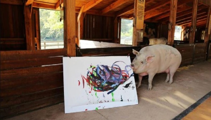कलाकार सूअरः लाखों रुपये की है कमाई, करता है जबरदस्त पेंटिंग