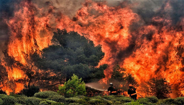 धूं-धूं कर जला ये जंगलः मर रहे जानवर, केंद्रीय मंत्री ने दिए आग पर काबू पाने के आदेश