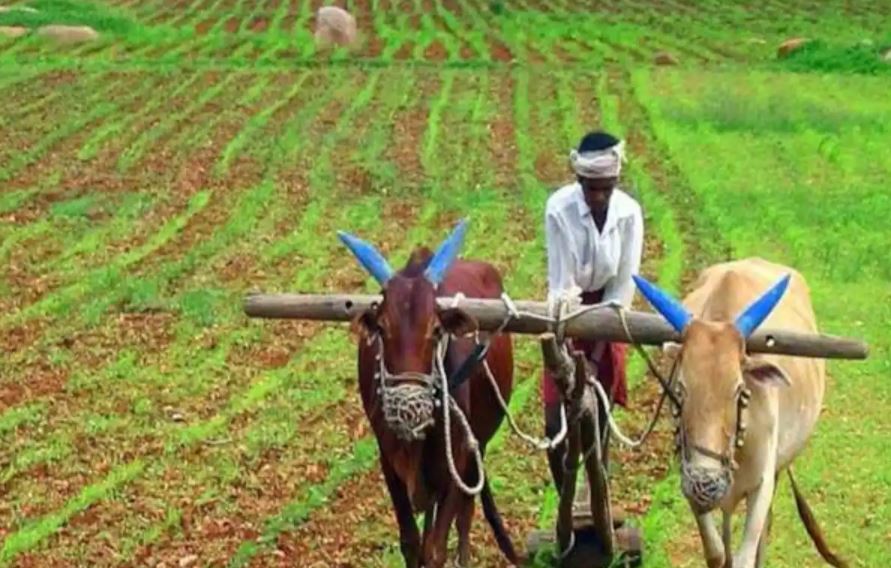 किसानों को बड़ा तोहफा देगी मोदी सरकार, बैंक अकाउंट में आएगा पैसा, ऐसे करें चेक