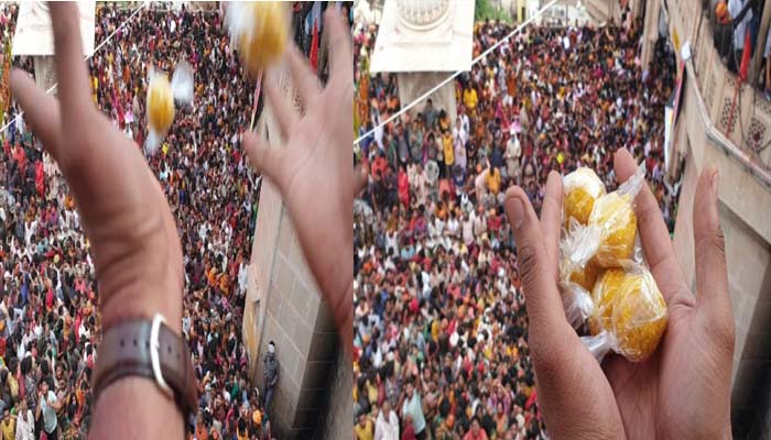 मथुरा: बरसाना में बरसे लड्डू, श्रीजी मंदिर में भक्तों ने धूम-धाम से खेली होली