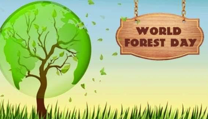 World Forest Day: बहुत खास है वन विभाग, जानें पेड़-पौधे और जंगल का महत्व
